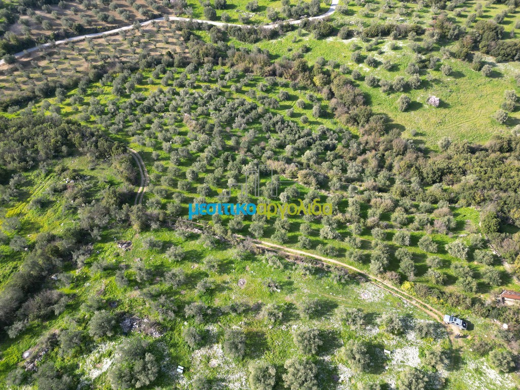 Αγροτεμάχια 20.000 τ.μ. προς πώληση, Αριά Λυρκείας