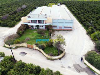 Βιομηχανικός χώρος 800 τ.μ. για ενοικίαση, Αργολίδα, Άργος-thumb-1