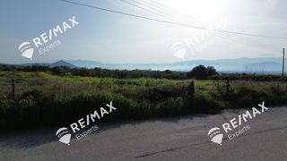 Αγροτεμάχια 4.048 τ.μ. για πώληση, Αργολίδα, Μιδέα-thumb-12