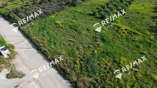 Αγροτεμάχια 4.048 τ.μ. για πώληση, Αργολίδα, Μιδέα-thumb-23