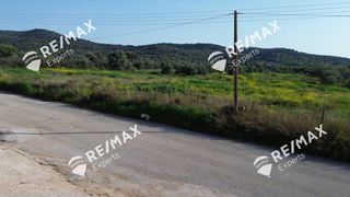 Αγροτεμάχια 4.048 τ.μ. για πώληση, Αργολίδα, Μιδέα-thumb-4
