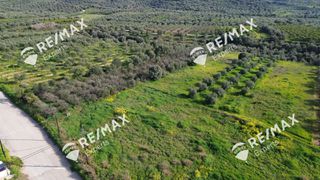 Αγροτεμάχια 4.048 τ.μ. για πώληση, Αργολίδα, Μιδέα-thumb-31