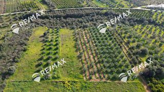 Αγροτεμάχια 4.048 τ.μ. για πώληση, Αργολίδα, Μιδέα-thumb-21