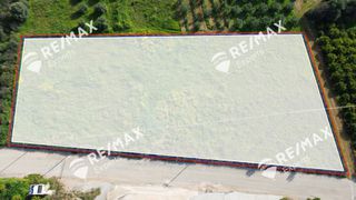 Αγροτεμάχια 4.048 τ.μ. για πώληση, Αργολίδα, Μιδέα-thumb-1