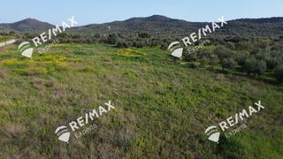 Αγροτεμάχια 4.048 τ.μ. για πώληση, Αργολίδα, Μιδέα-thumb-33