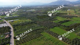Αγροτεμάχια 4.048 τ.μ. για πώληση, Αργολίδα, Μιδέα-thumb-14