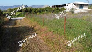 Αγροτεμάχια 4.048 τ.μ. για πώληση, Αργολίδα, Μιδέα-thumb-11
