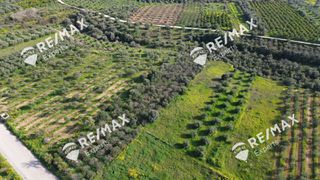 Αγροτεμάχια 4.048 τ.μ. για πώληση, Αργολίδα, Μιδέα-thumb-26