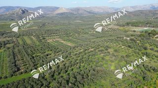 Αγροτεμάχια 4.048 τ.μ. για πώληση, Αργολίδα, Μιδέα-thumb-25