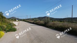 Αγροτεμάχια 4.048 τ.μ. για πώληση, Αργολίδα, Μιδέα-thumb-5