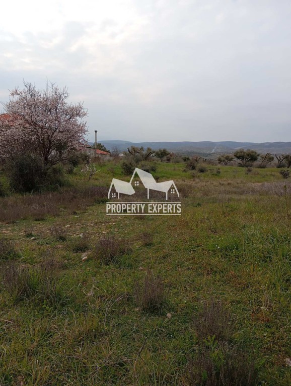 Αγροτεμάχια 4.000 τ.μ. προς πώληση, Παραλία Δικελλών