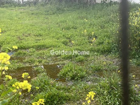 Land plot 300 sqm for rent
