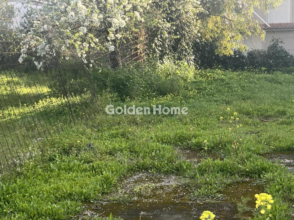 Οικόπεδο 300 τ.μ. προς ενοικίαση, Αθήνα - Νότια Προάστια, Αργυρούπολη