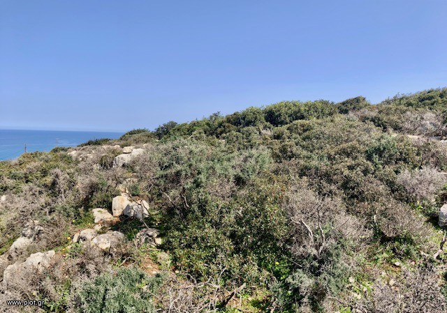 Οικόπεδο 4.000 τ.μ. πρός πώληση, Ν. Ρεθύμνου, Νικηφόρος Φωκάς