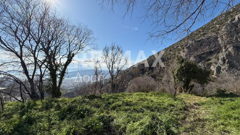 Οικόπεδο 395 τ.μ. πρός πώληση, Μαγνησία, Μακρινίτσα