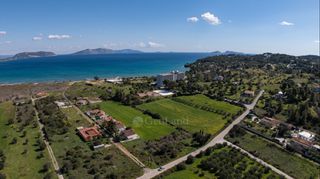 Αγροτεμάχια 5.327 τ.μ. για πώληση, Αργολίδα, Κρανίδι-thumb-7