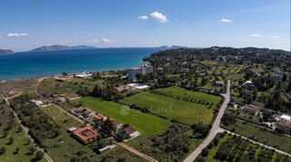 Αγροτεμάχια 5.327 τ.μ. για πώληση, Αργολίδα, Κρανίδι-thumb-15