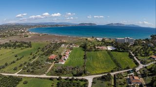 Αγροτεμάχια 5.327 τ.μ. για πώληση