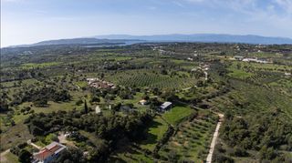 Αγροτεμάχια 10.000 τ.μ. για πώληση
