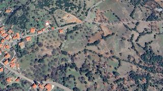 Οικόπεδο 981 τ.μ. για πώληση, Αρκαδία, Βιτίνα-thumb-14