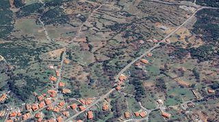 Οικόπεδο 981 τ.μ. για πώληση, Αρκαδία, Βιτίνα-thumb-15