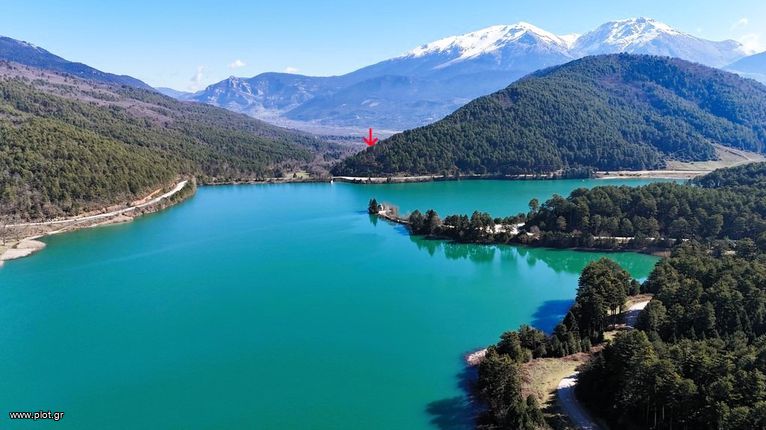 Οικόπεδο 5.011 τ.μ. για πώληση, Κορινθία, Φενεός
