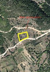 Οικόπεδο 5.011 τ.μ. για πώληση, Κορινθία, Φενεός-thumb-2