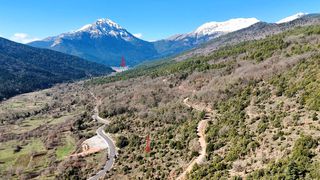 Οικόπεδο 5.011 τ.μ. για πώληση, Κορινθία, Φενεός-thumb-8