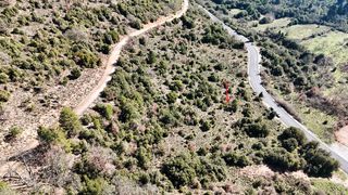 Οικόπεδο 5.011 τ.μ. για πώληση, Κορινθία, Φενεός-thumb-13