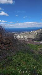 Μονοκατοικία 65 τ.μ. για πώληση, Κυκλάδες, Κέα-thumb-5