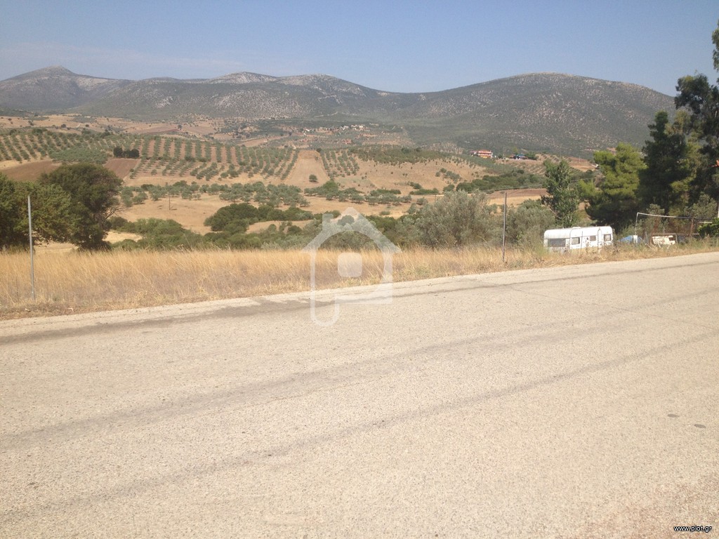 Οικόπεδο 1.692 τ.μ. προς πώληση, Αργολίδα, Επίδαυρος