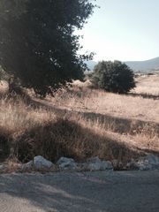 Οικόπεδο 1.692 τ.μ. για πώληση, Αργολίδα, Επίδαυρος-thumb-3