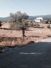 Οικόπεδο 1.692 τ.μ. για πώληση, Αργολίδα, Επίδαυρος-thumb-5