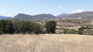 Οικόπεδο 1.692 τ.μ. για πώληση, Αργολίδα, Επίδαυρος-thumb-6