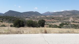 Οικόπεδο 1.692 τ.μ. για πώληση, Αργολίδα, Επίδαυρος-thumb-7