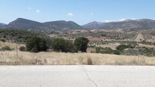 Οικόπεδο 1.692 τ.μ. για πώληση, Αργολίδα, Επίδαυρος-thumb-8