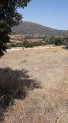 Οικόπεδο 1.692 τ.μ. για πώληση, Αργολίδα, Επίδαυρος-thumb-9