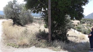 Οικόπεδο 1.692 τ.μ. για πώληση, Αργολίδα, Επίδαυρος-thumb-11