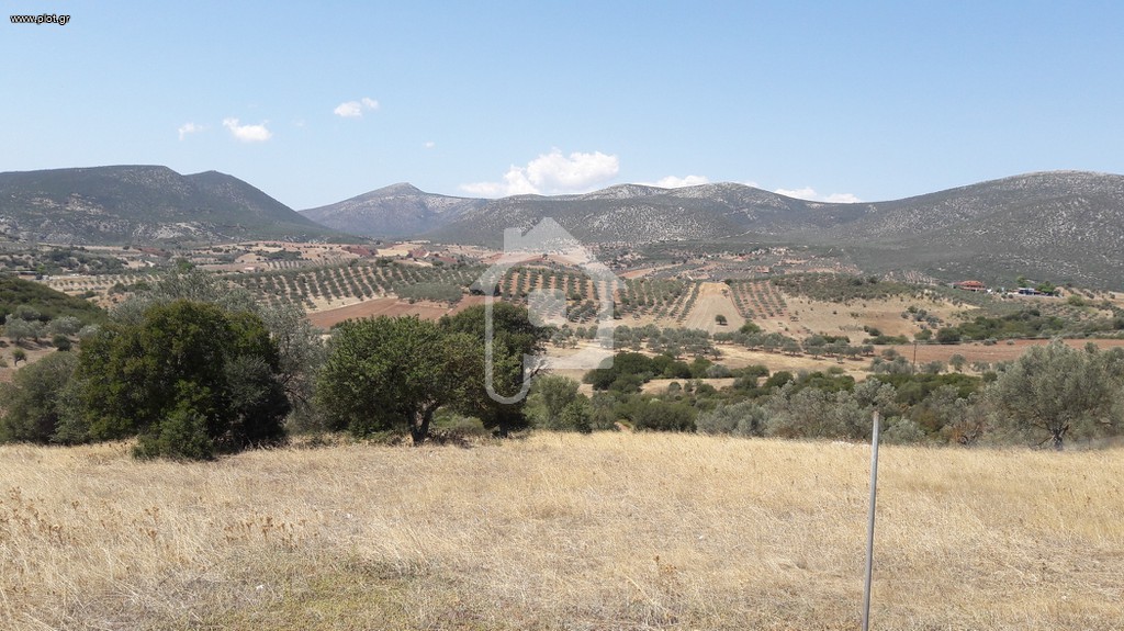 Οικόπεδο 1.692 τ.μ. για πώληση, Αργολίδα, Επίδαυρος