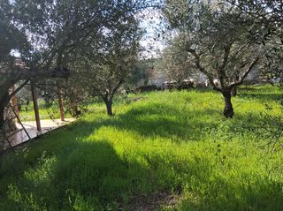 Μονοκατοικία 90 τ.μ. για πώληση, Μεσσηνία, Μεσσήνη-thumb-24