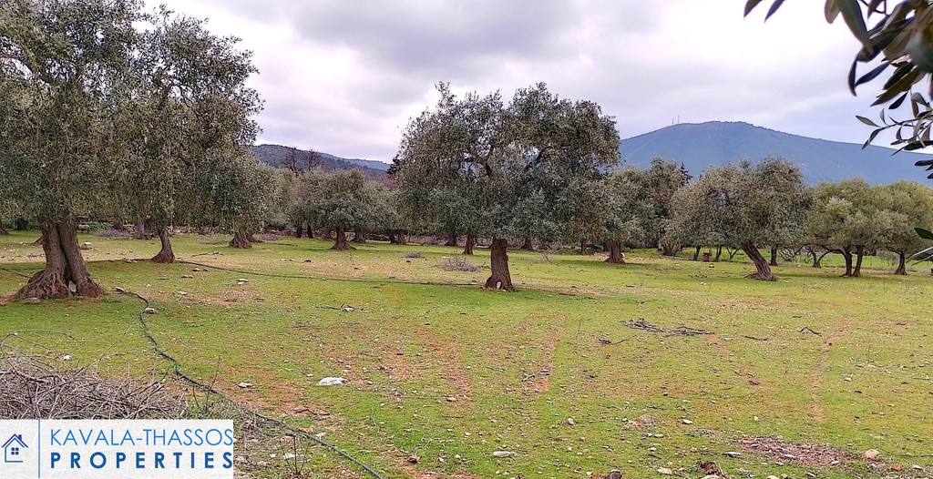 Οικόπεδο 6.800 τ.μ. πρός πώληση, Ν. Καβάλας, Θάσος