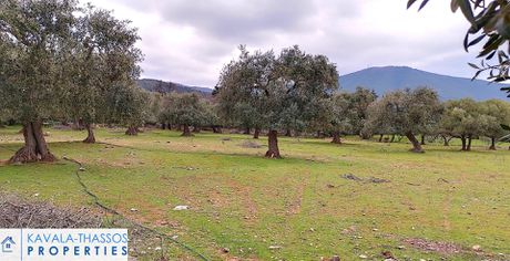 Οικόπεδο 6.800 τ.μ. πρός πώληση