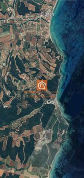 Αγροτεμάχια 3.300 τ.μ. προς πώληση