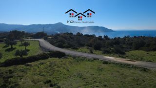 Αγροτεμάχια 7.000 τ.μ. προς πώληση, Νέα Στύρα-thumb-8