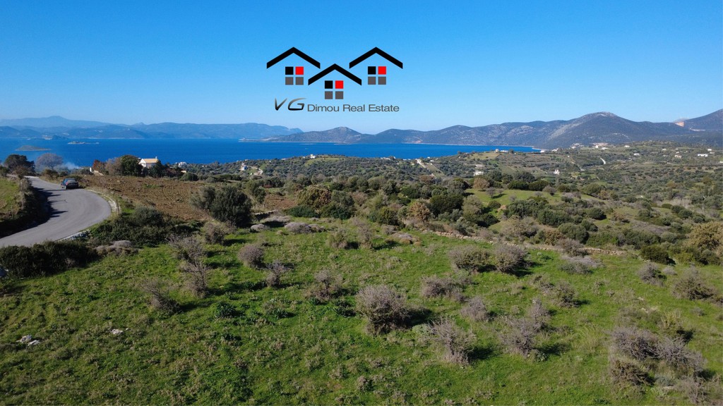 Αγροτεμάχια 7.000 τ.μ. προς πώληση, Νέα Στύρα