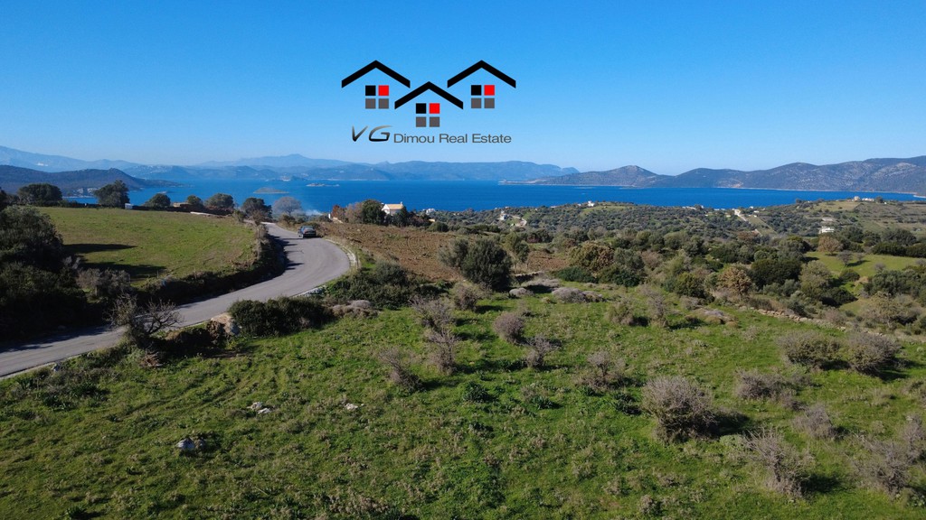 Αγροτεμάχια 7.000 τ.μ. προς πώληση, Νέα Στύρα