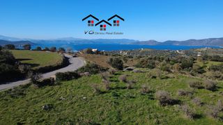 Αγροτεμάχια 7.000 τ.μ. προς πώληση, Νέα Στύρα-thumb-4