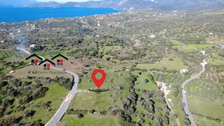 Αγροτεμάχια 7.000 τ.μ. προς πώληση, Νέα Στύρα-thumb-13