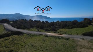 Αγροτεμάχια 7.000 τ.μ. προς πώληση, Νέα Στύρα-thumb-9