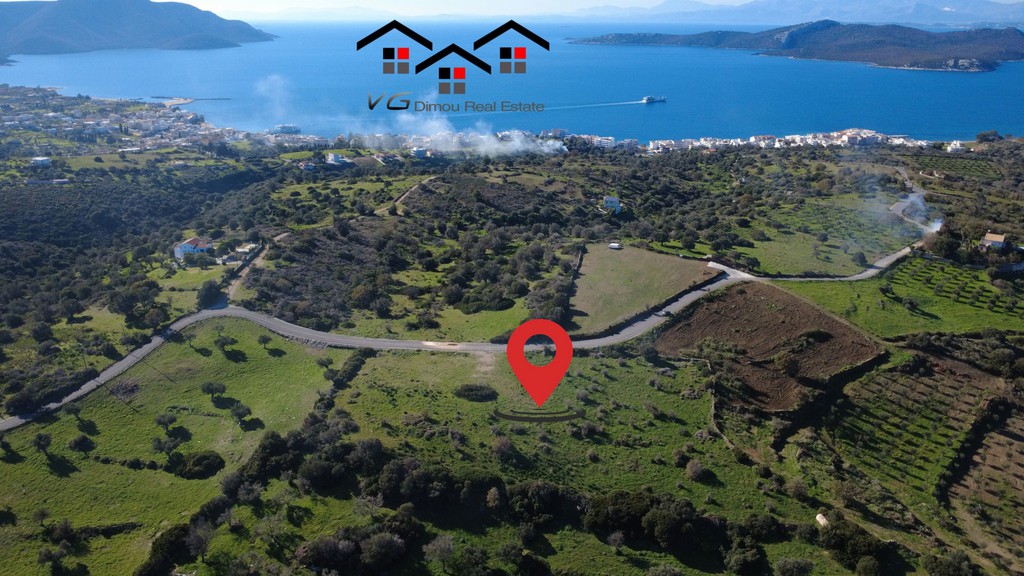 Αγροτεμάχια 7.000 τ.μ. προς πώληση, Νέα Στύρα